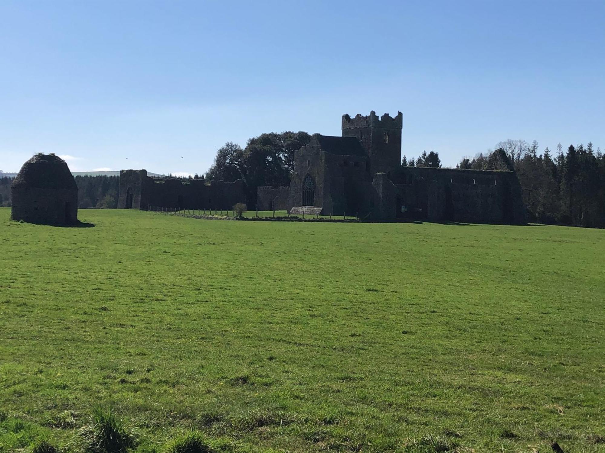 The Lodge - Rural Tipperary Bordering Kilkenny Ballingarry  Εξωτερικό φωτογραφία